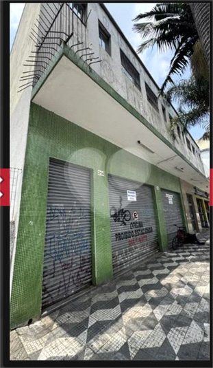 Foto REO1099384