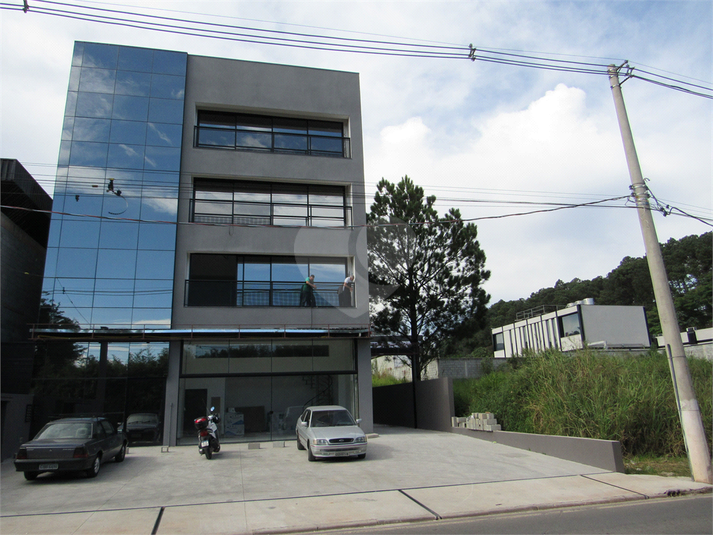 Foto REO1099395