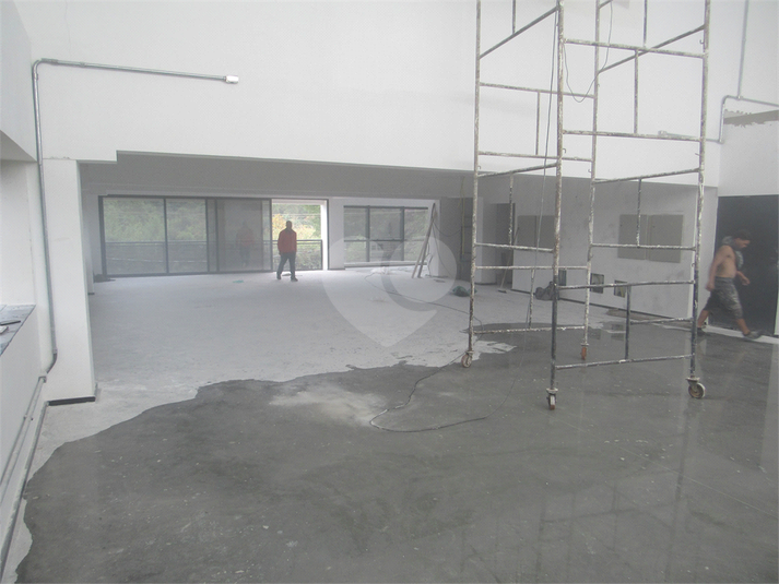 Foto REO1099395