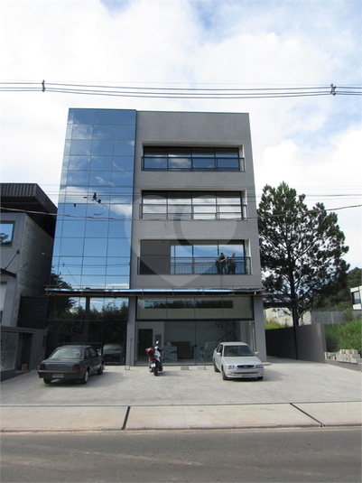 Foto REO1099395