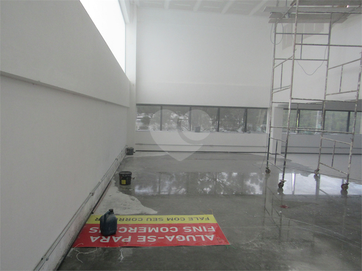 Foto REO1099395