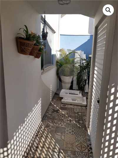 Foto REO1099398