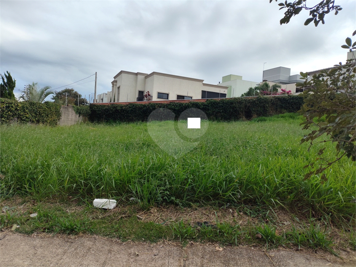 Foto REO1099399