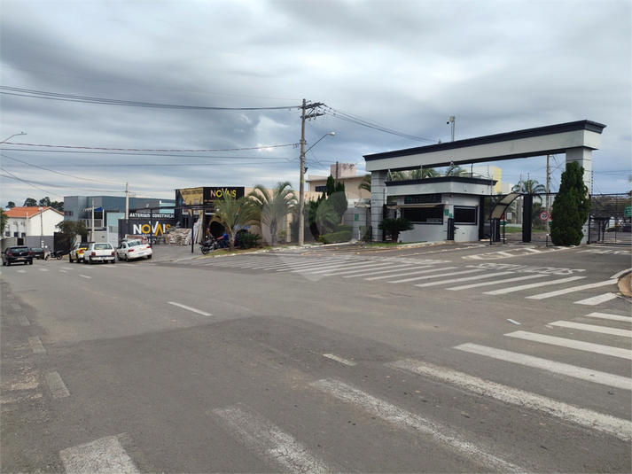Foto REO1099399