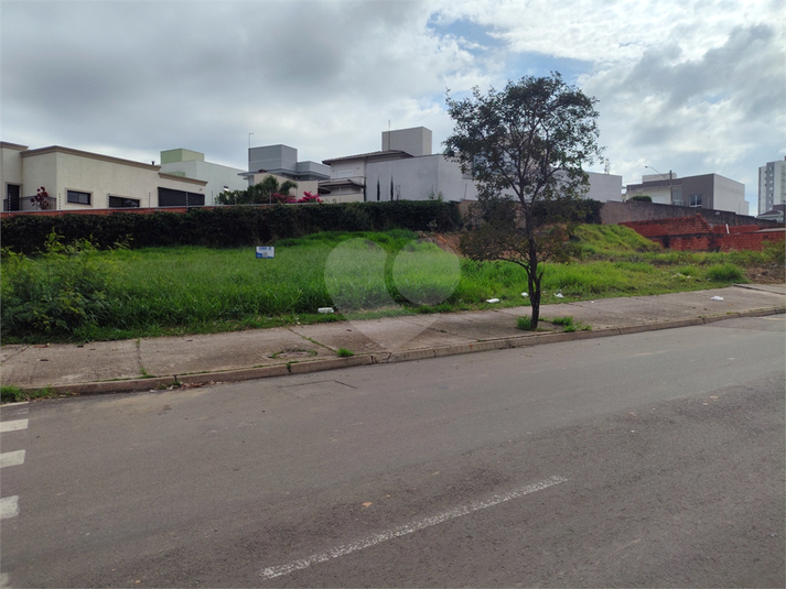 Foto REO1099399