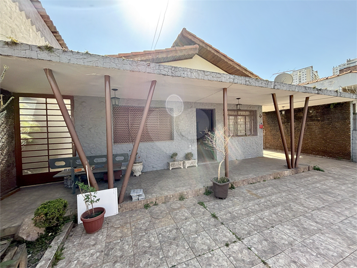Foto REO1099406