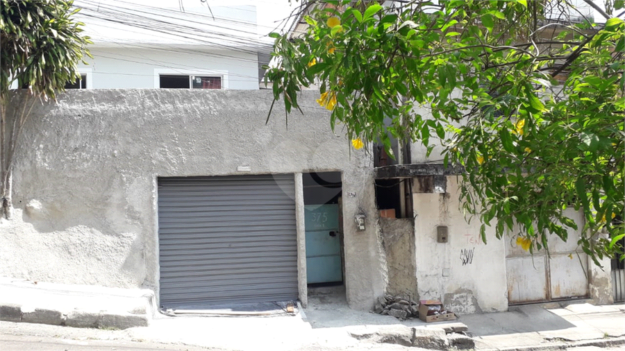 Foto REO1099408