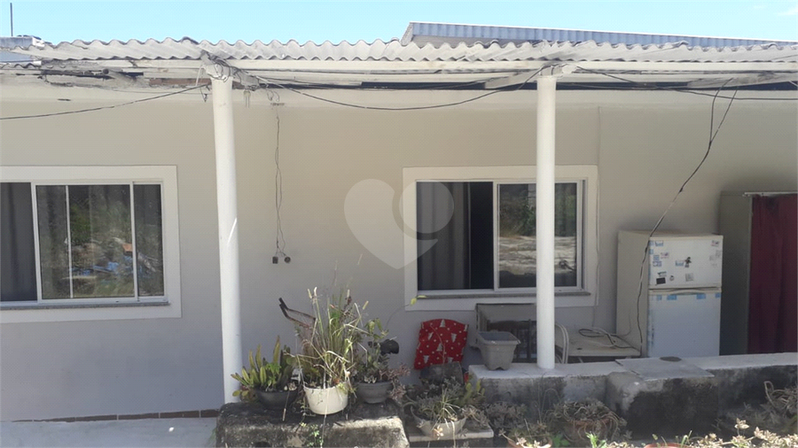 Foto REO1099408