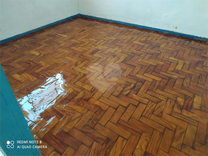 Foto REO1099408