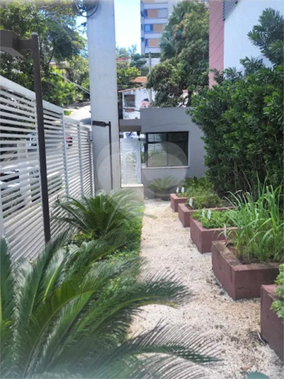Foto REO1099409