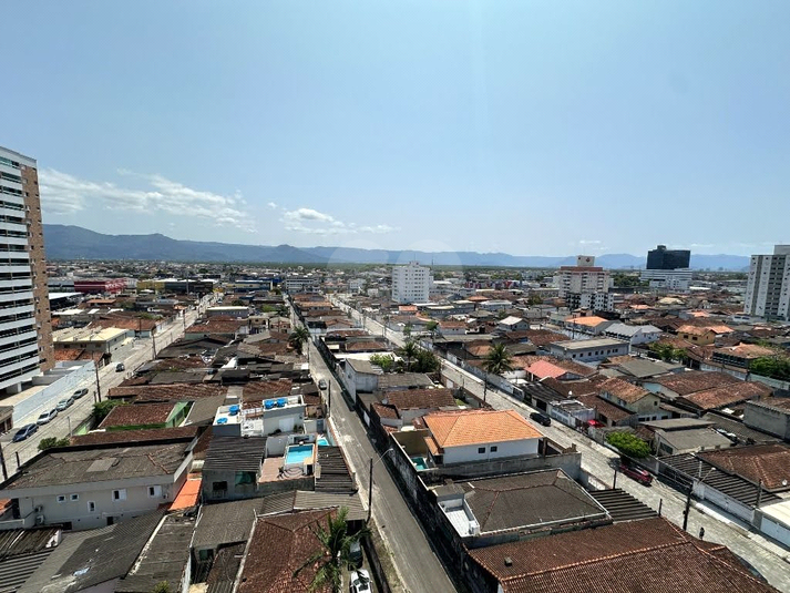 Foto REO1099425