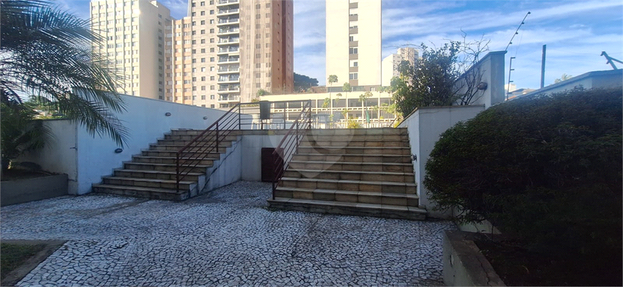 Foto REO1099429