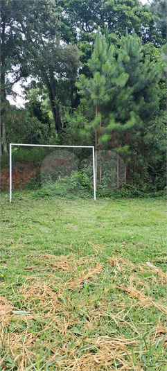 Foto REO1099446