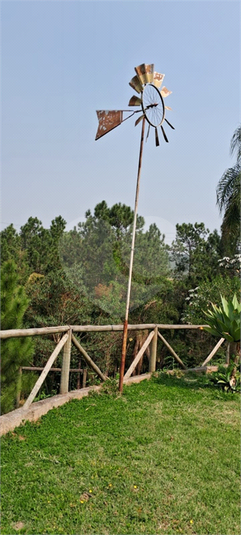 Foto REO1099446