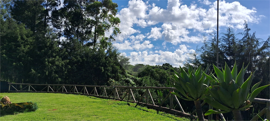 Foto REO1099446