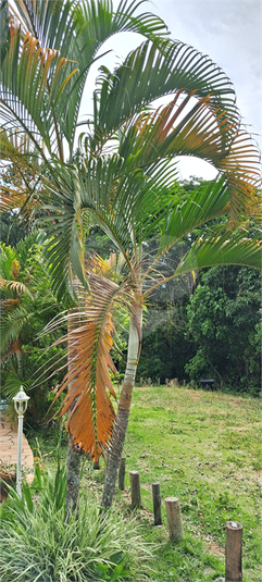 Foto REO1099446