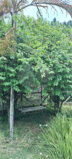 Foto REO1099446