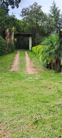 Foto REO1099446