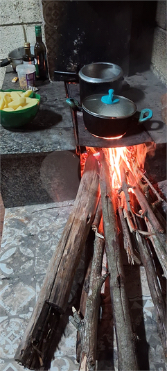 Foto REO1099446