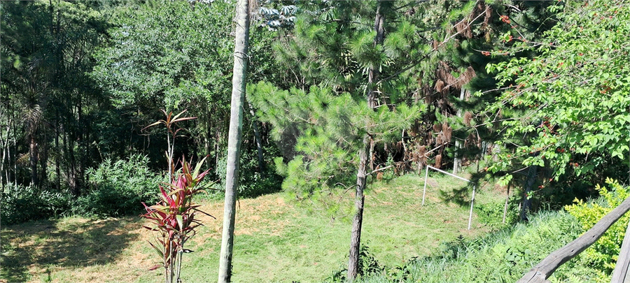Foto REO1099446