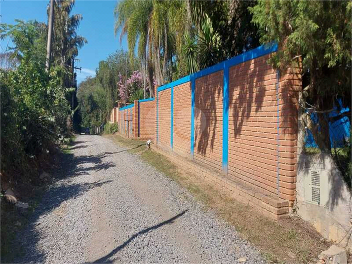 Foto REO1099447