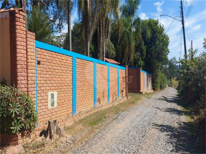 Foto REO1099447
