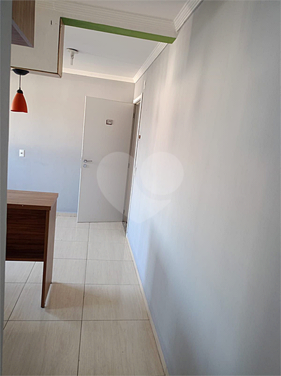 Foto REO1099448