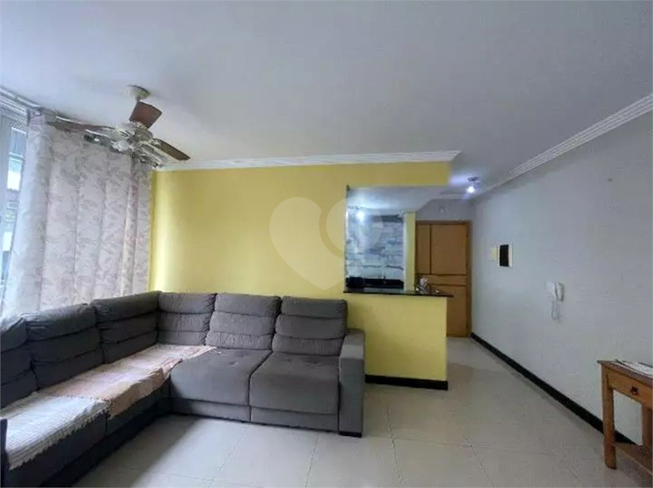 Foto REO1099456