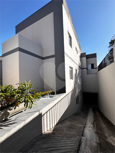 Foto REO1099467
