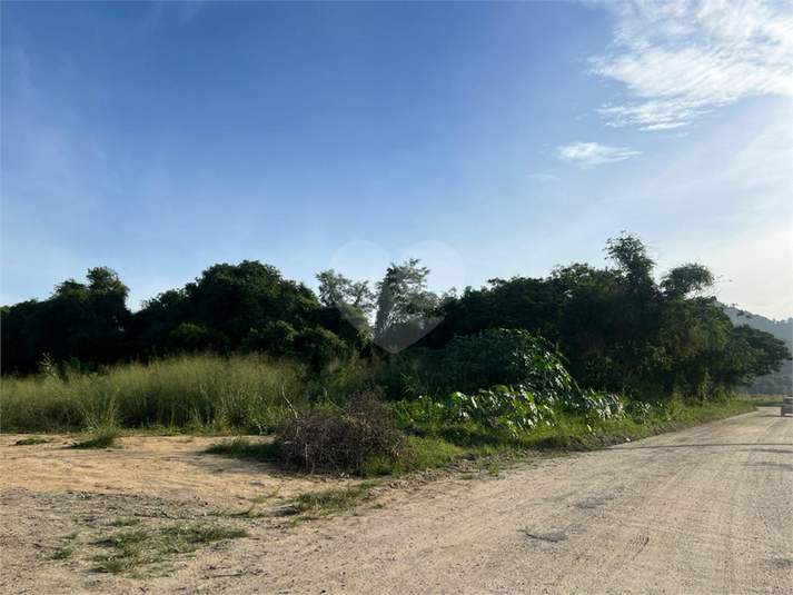 Foto REO1099468