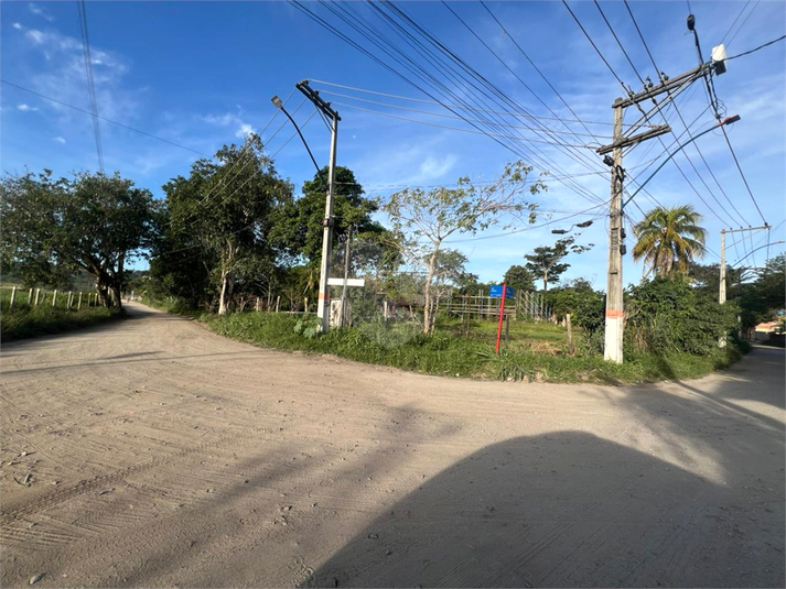 Foto REO1099468