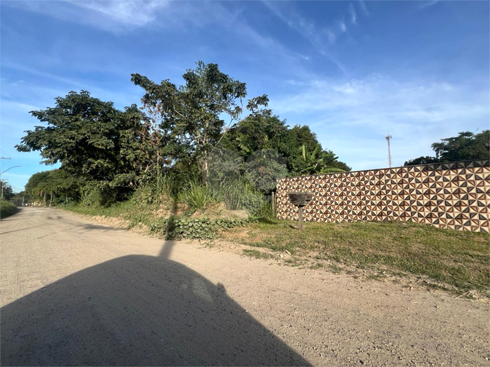 Foto REO1099468