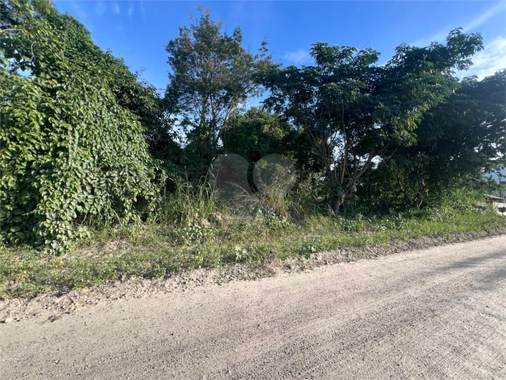 Foto REO1099468
