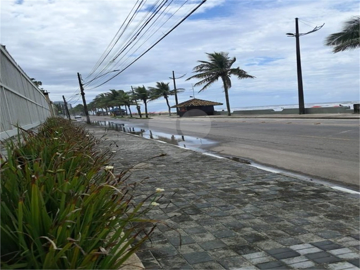 Foto REO1099483