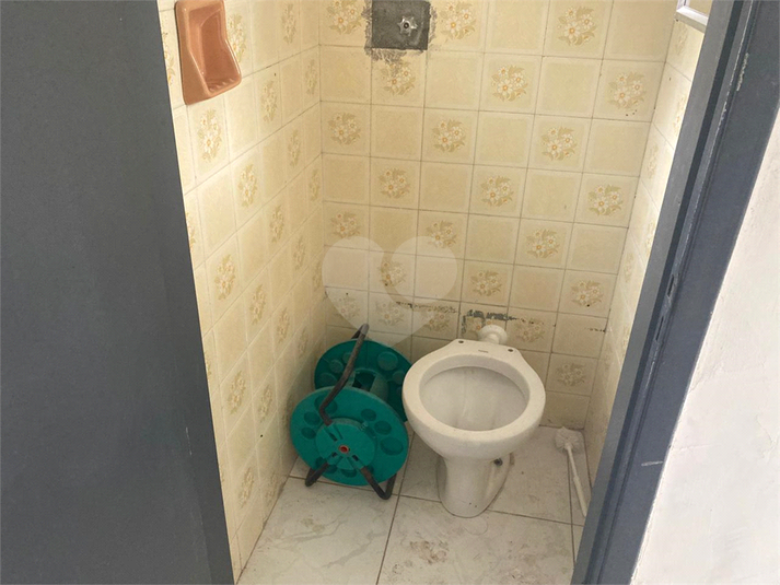 Foto REO1099489