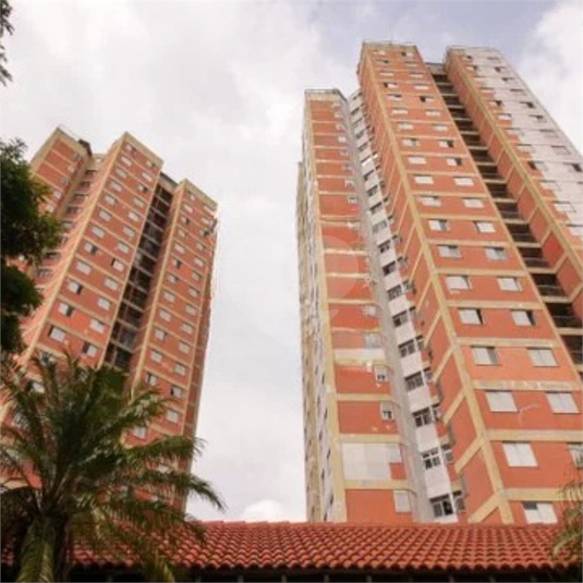 Foto REO1099494