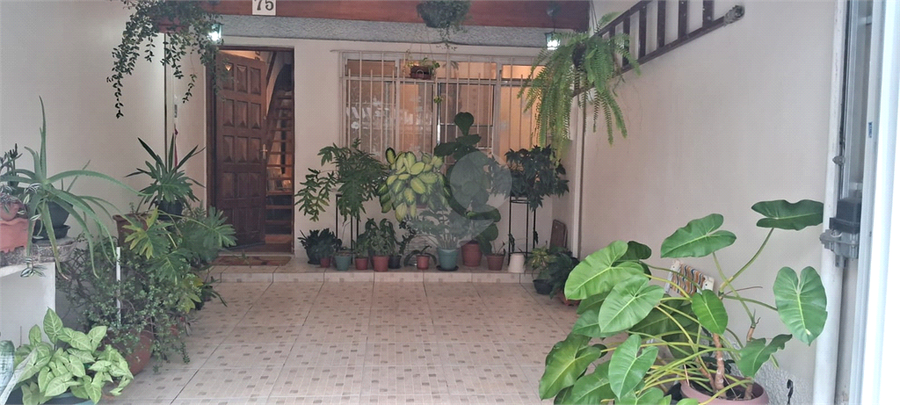 Foto REO1099501