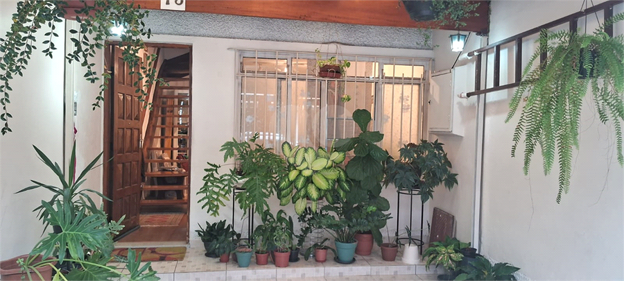 Foto REO1099501