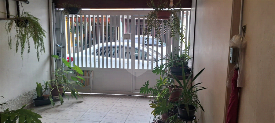 Foto REO1099501