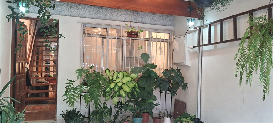 Foto REO1099501