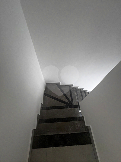 Foto REO1099508