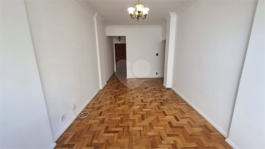 Foto REO1099510