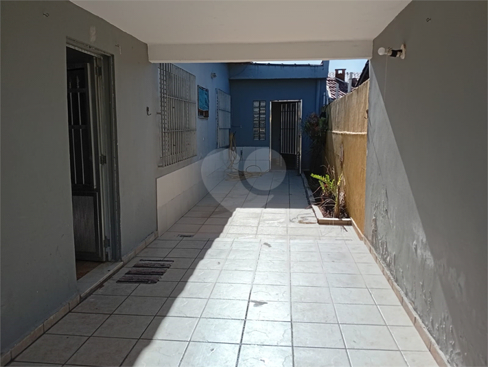 Foto REO1099519