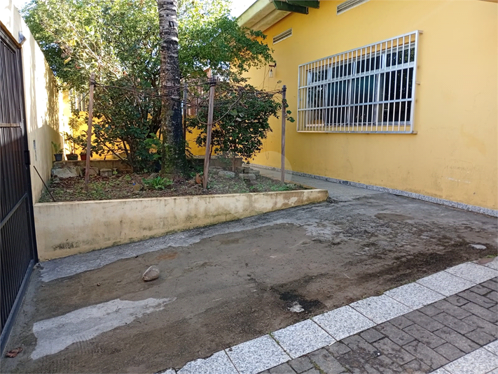 Foto REO1099519