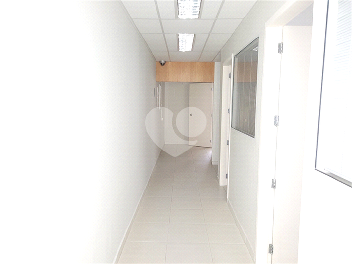 Foto REO1099521
