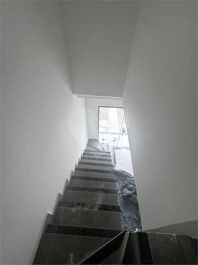 Foto REO1099522