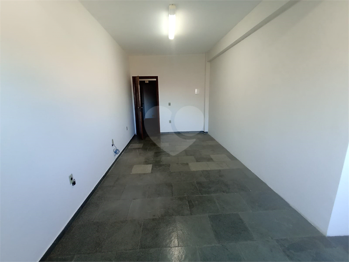 Foto REO1099523