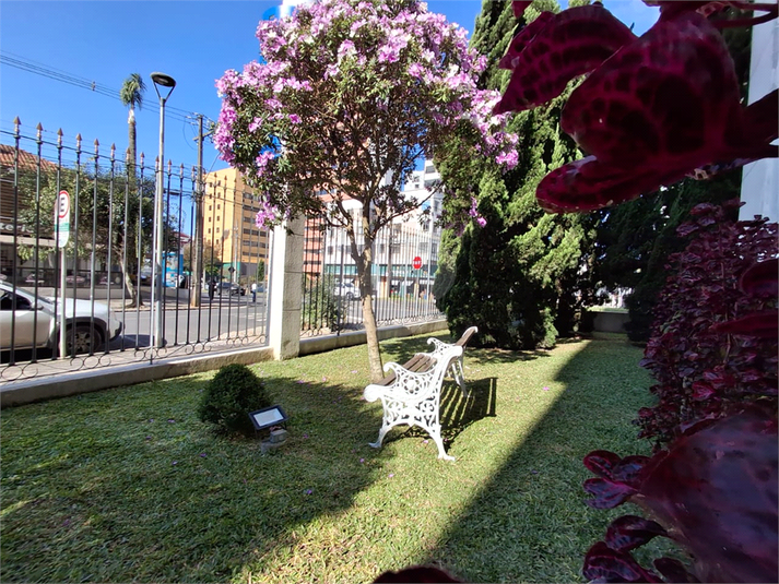 Foto REO1099530