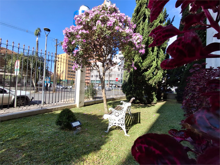 Foto REO1099530