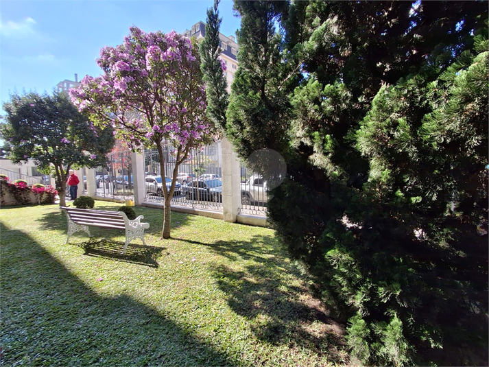 Foto REO1099530